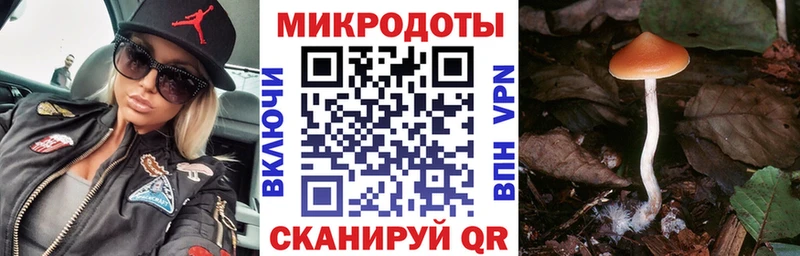 Псилоцибиновые грибы Psilocybe  наркошоп  Киренск 